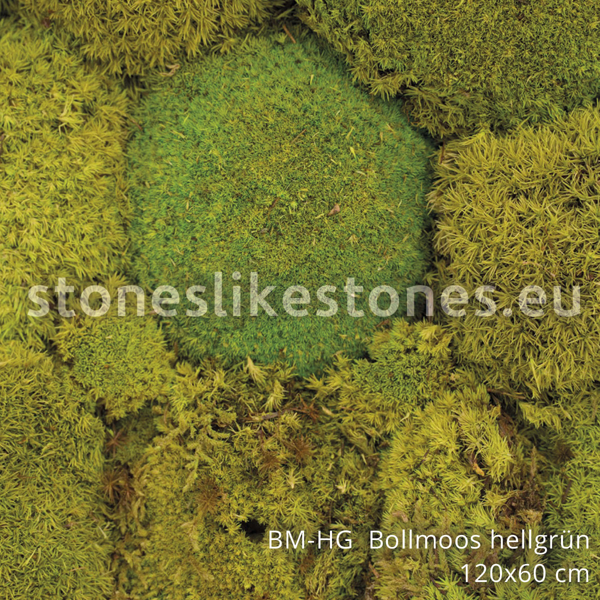 BM-HG Bollmoos hellgrün - 1200 x 600 mm