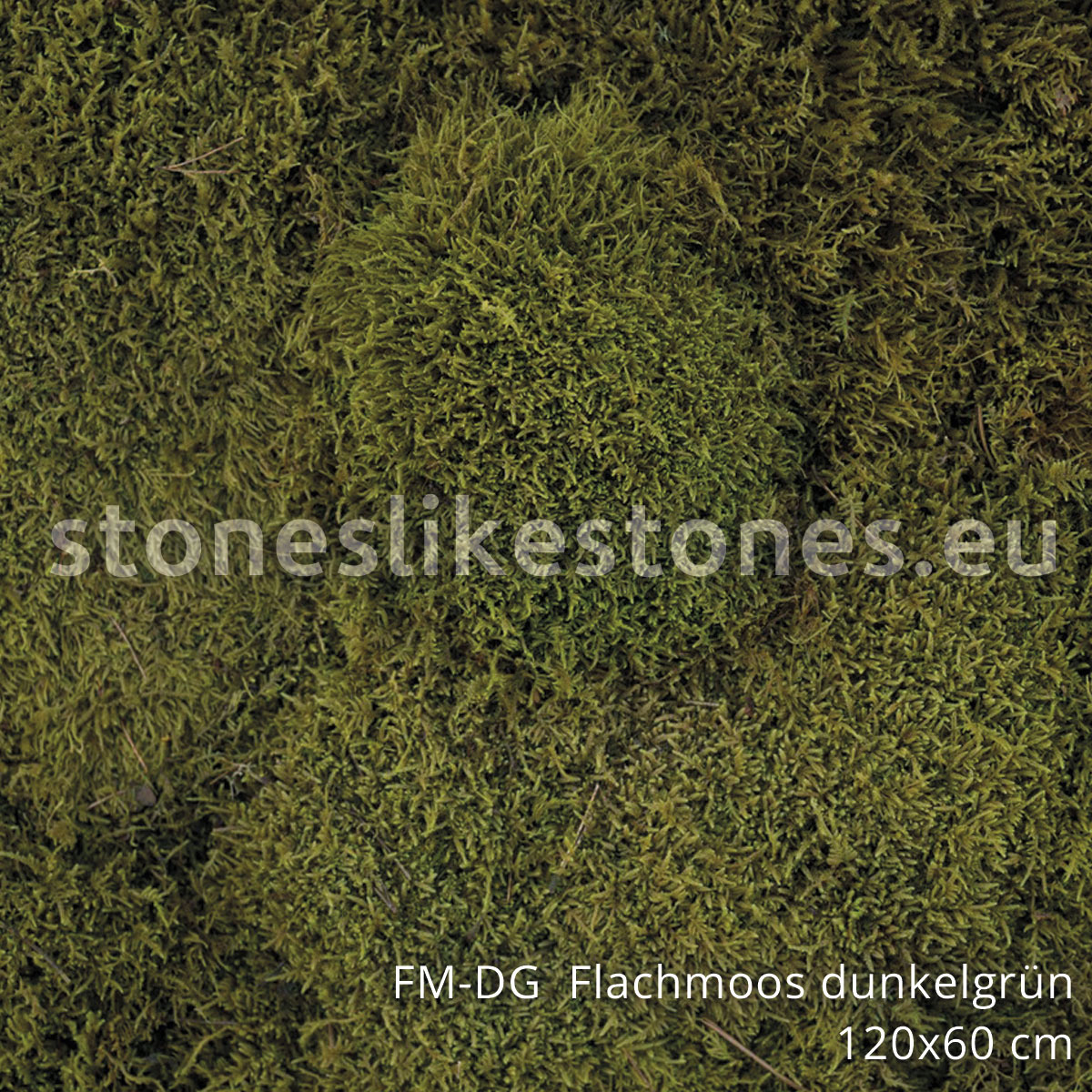FM-D Flachmoos dunkelgrün - 1200 x 600 mm