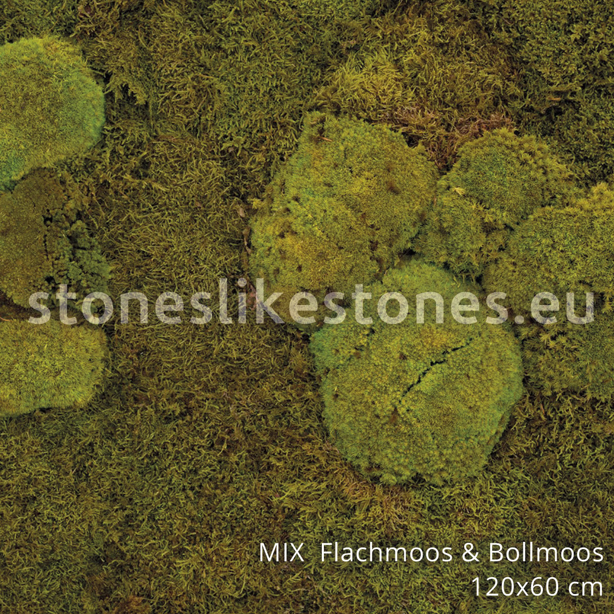 MIX Flachmoos & Bollmoos - 1200 x 600 mm