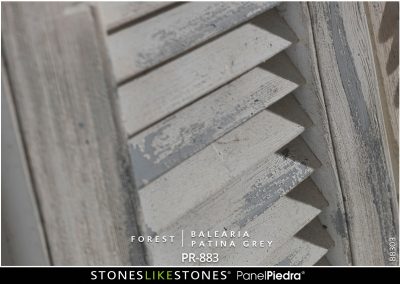 StoneslikeStones RanelPiedra PR-883 Forest BALARIA patina grey – Detailansicht 88303 – Download mit Rechtsklick